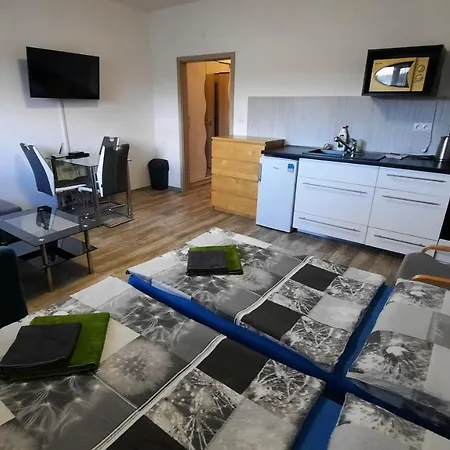 Guest house U Vody